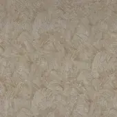 Tanagra - Taupe